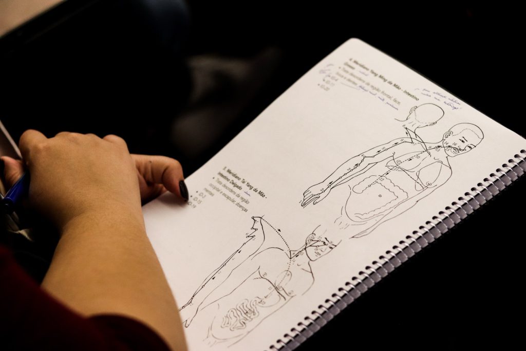Material didatico de anatomia usado no CEIMEC